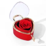 heart-shaped jewelry box main image
